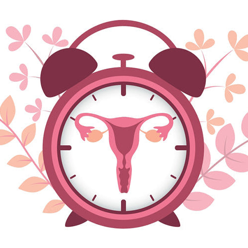 Hot Flashes & New Beginnings: Thriving Through Menopause